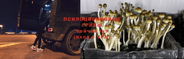 молекула духа Баксан
